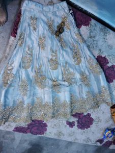 Embroidered Lehenga Choli