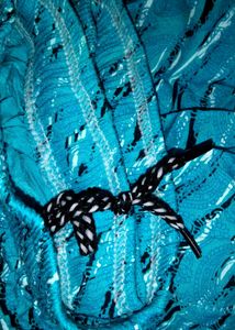 Stylish Blue Pant