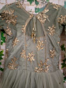 Beautiful Gown English Colour Amazing Sequence Wor
