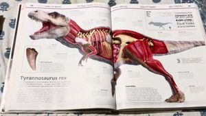 Big Encyclopedia  So Much Knowledge 📚