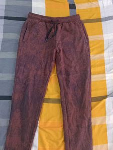 Stylish Maroon Jogger Pants