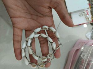 Cowrie Shell Earrings from Everstylish
