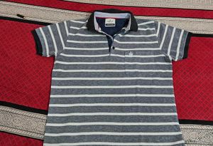 Selling Tshirt For Men In ₹500