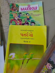 NCERT 2,3,4 Std Books