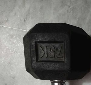 Dumbbell Set