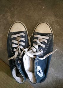 Converse Sneakers