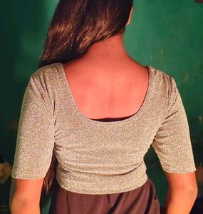 Sparkly Silver Crop Top