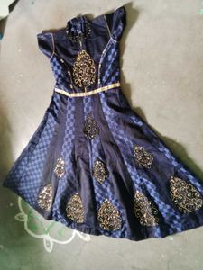 Elegant Navy Blue Embroidered Dress