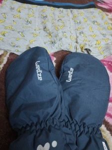 Combo Of Gloves  N Brief Free