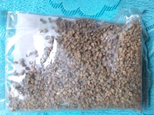 Lafa Saag Pack Of 5000 Seeds