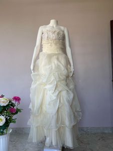Elegant creme organza gown FIXED PRICE