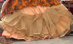 Elegant Lehenga Choli