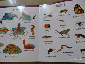 Kids Book