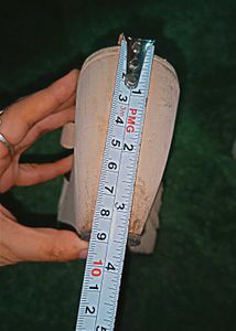 Women&#39;s Wedges with Floral Accent
