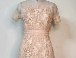Net Dress