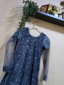 Elegant Sequined Grey Gown( Hand Made)
