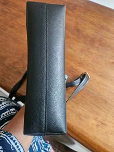 Branded Baggit Bag