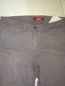 Pant