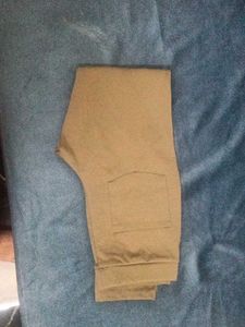 Neutral Tan Casual Pants