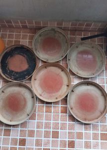 Set Of 6 Planter Plate