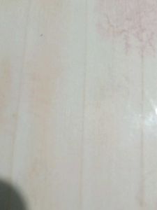SG Cricket Bat