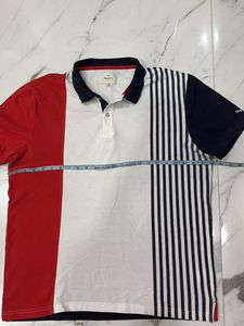Stylish Striped Polo T-Shirt
