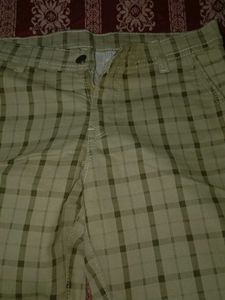New Pant