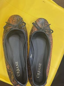 Stylish Urbane Ballerinas