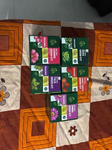 Zinnia Grow Kit