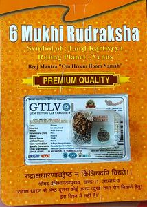 6 Mukhi Rudraksha Pendant