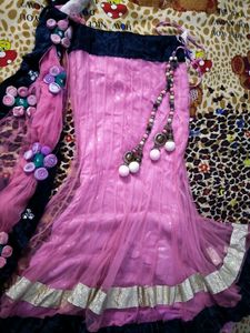 Pink Embellished Lehenga