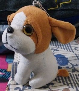It&#39;s Toy Dog
