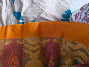 Elegant Orange &amp; Red Saree