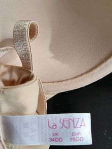 Nude Bra - Size 34DD
