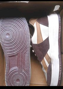 Men Shoe