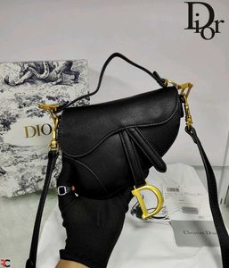 Dior saddle
