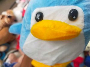 Blue Penguin Plush Toy