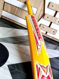 Dexter Cricket Hard Plastic Bat