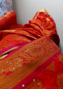 Red &amp; Gold Sari with Embellishments