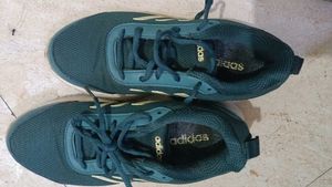 Adidas Green Sports shoes