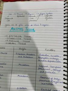 Zoology Handwritten Notes For Class 11 (NEET)