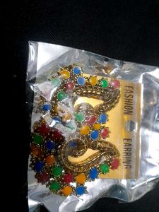Colorful Fashion Earrings