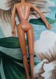 Doll Body