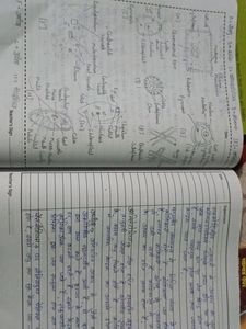 Physics And Biology Prectical Book With Written Pr