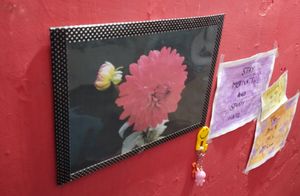 Red Flower Wall Decoration Frame | Wall Frame