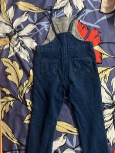 Cute Denim Zara Overalls