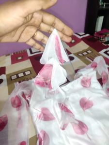 Organza Kurta