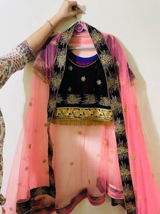 Embroidered Lehenga Choli