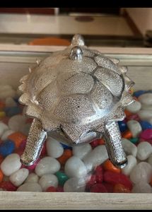 4bowls,juicer,turtle mukwas