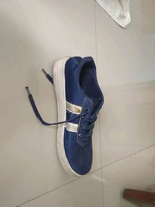 Blue Canvas Shoes